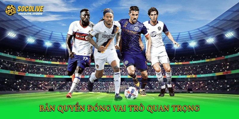 Bản quyền đóng vai trò quan trọng